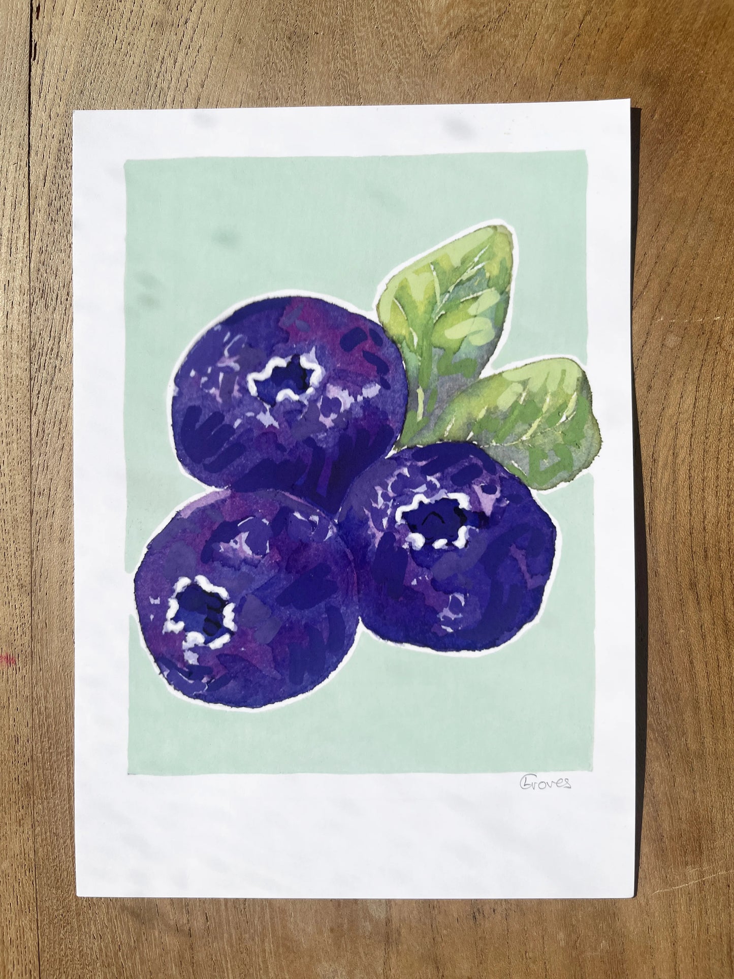 Blueberry 'Kitchen Collection'