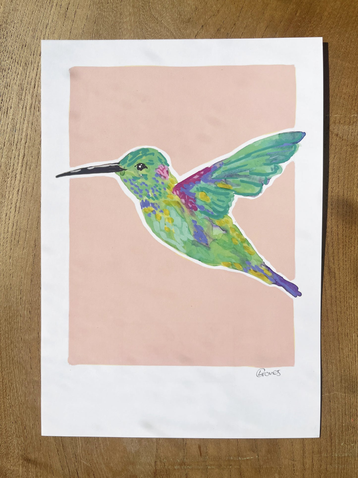 Humming Bird 01 'Bird Collection'