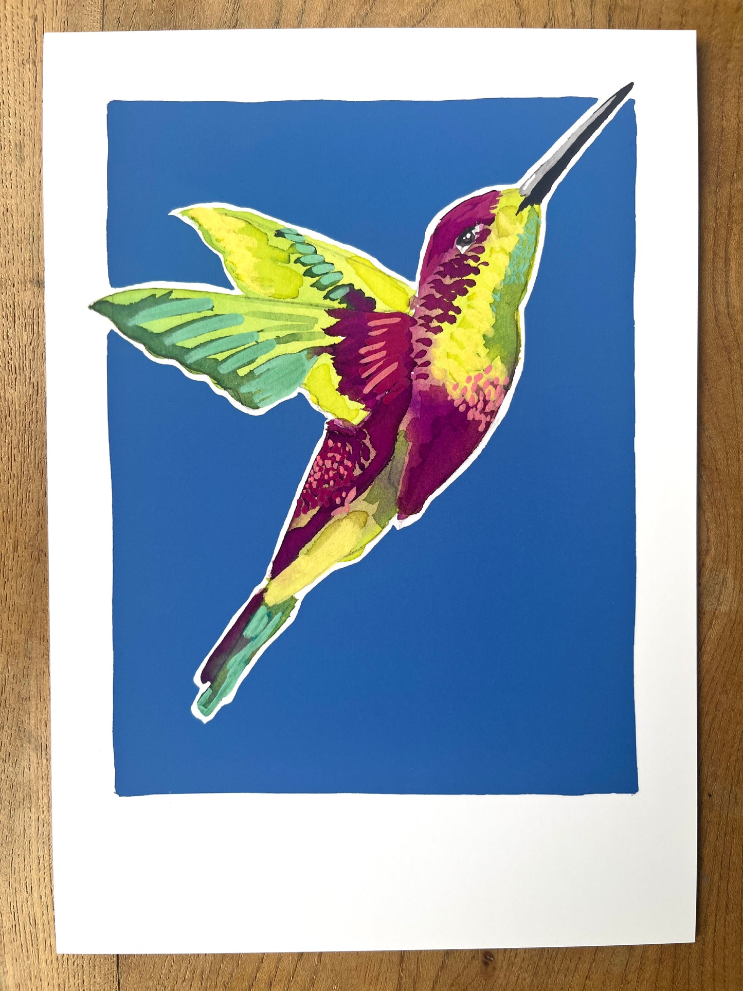 Humming Bird 05 'Bird Collection'