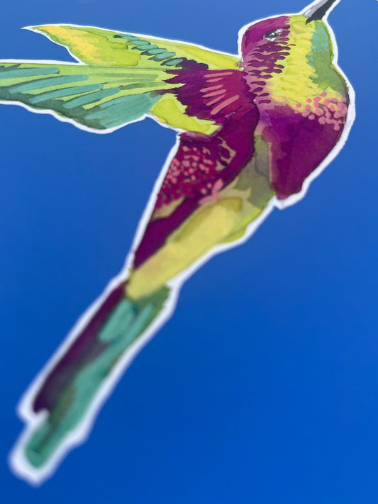 Humming Bird 05 'Bird Collection'