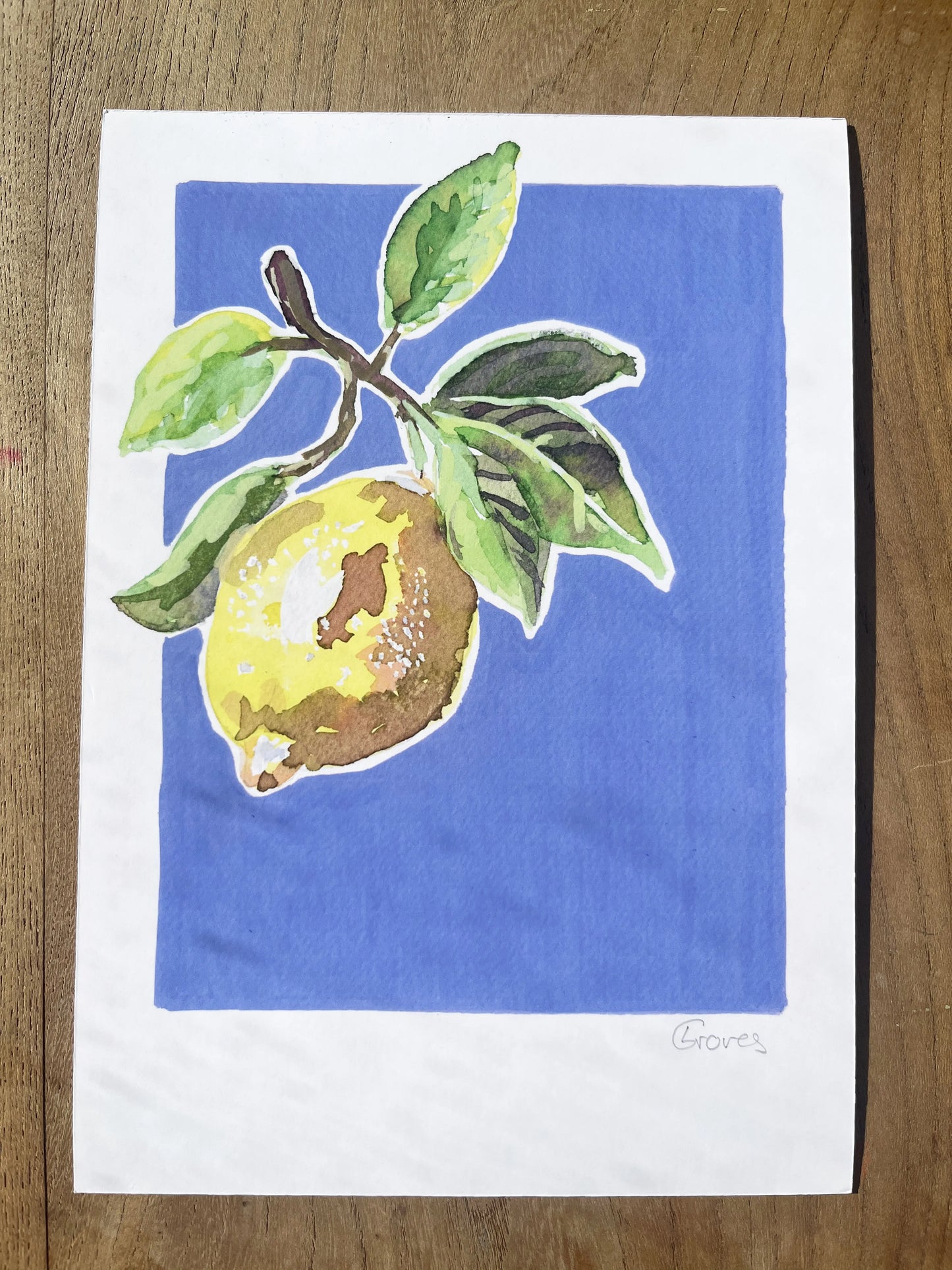 Lemon 'Kitchen Collection'