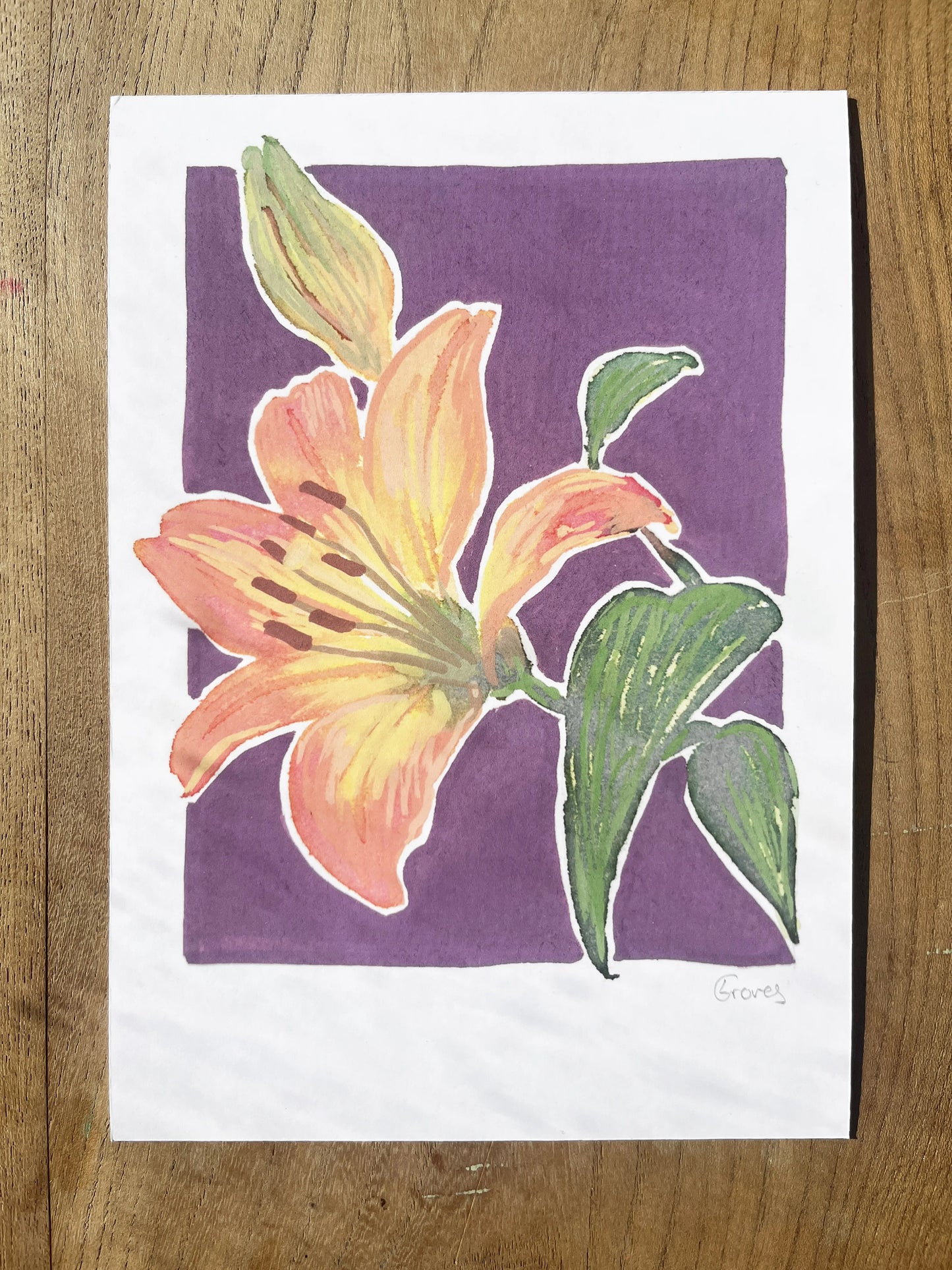 Lily 'Woodland Collection'