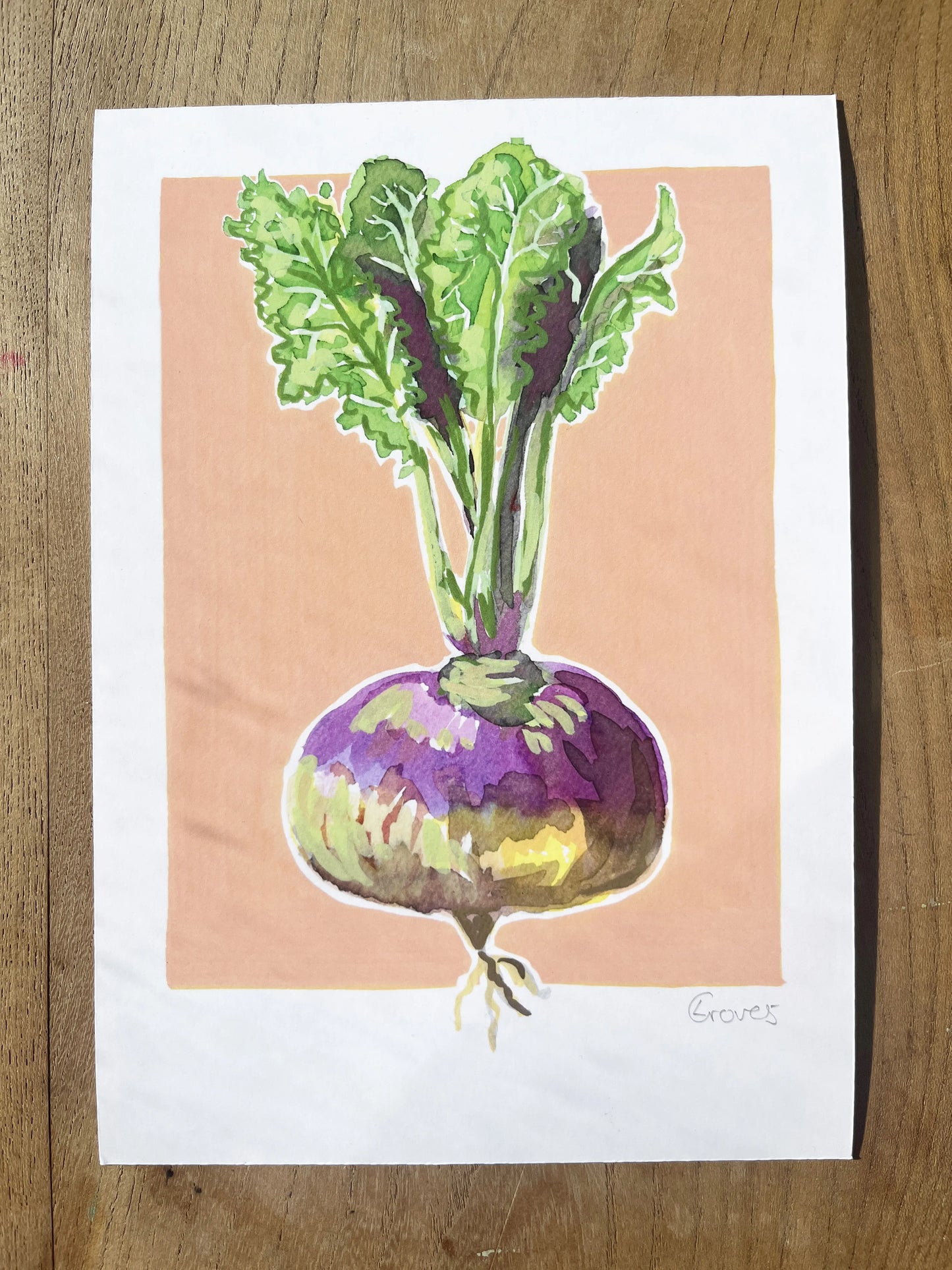 Turnip 'Kitchen Collection'