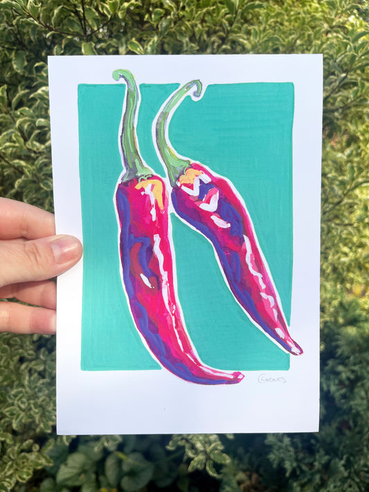 Chilli Pepper   'Kitchen Collection'