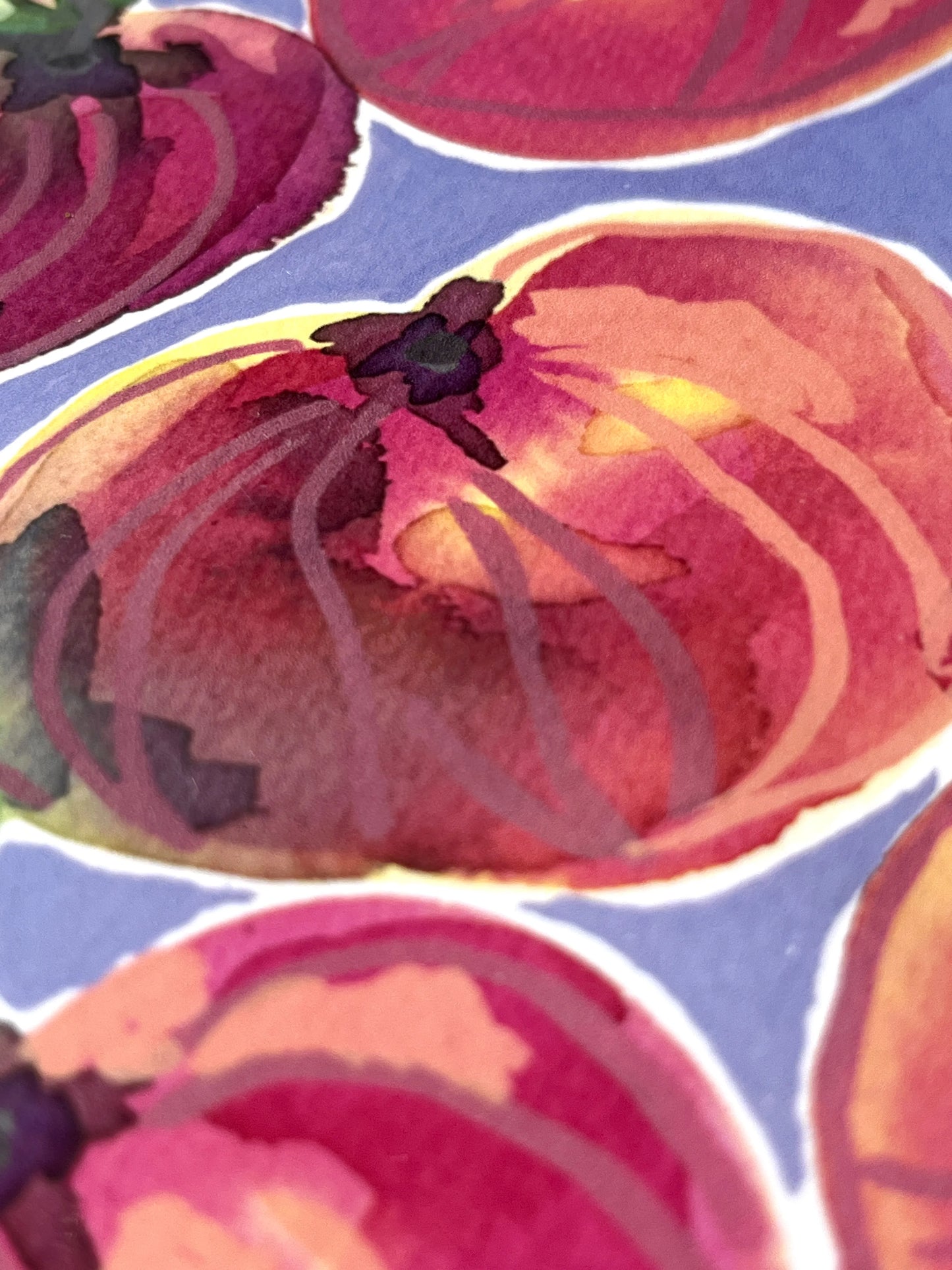 Peaches   'Kitchen Collection'