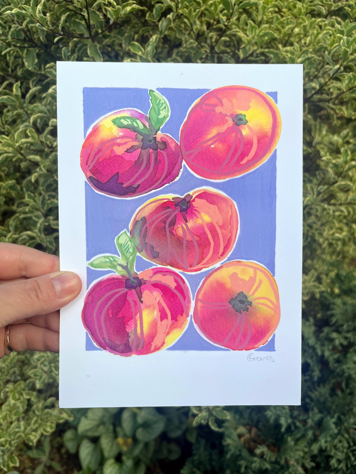 Peaches   'Kitchen Collection'
