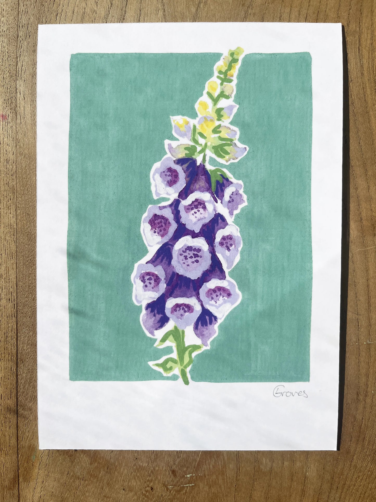 Foxglove      'Woodland Collection'