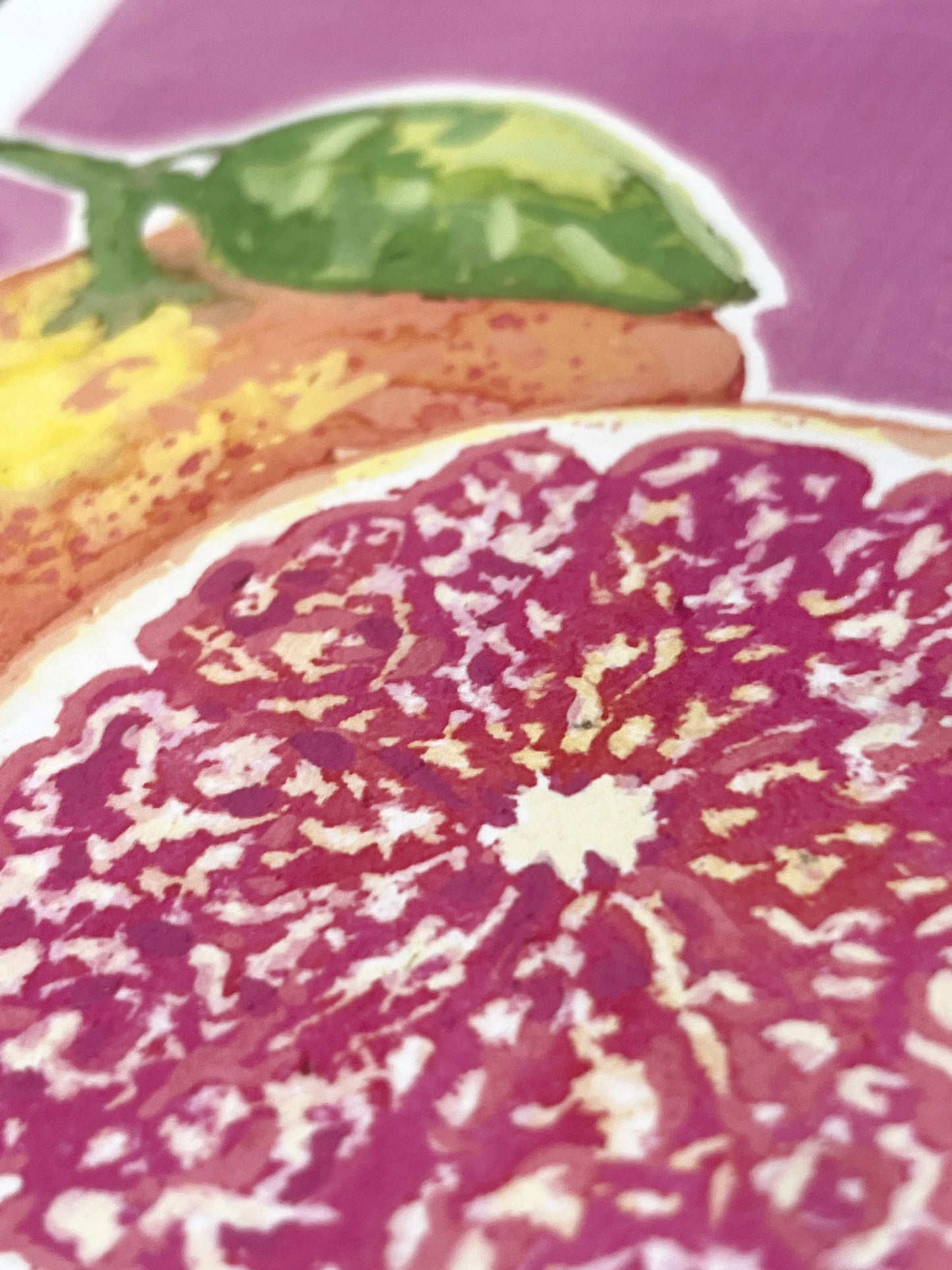 Grapefruit   'Kitchen Collection'