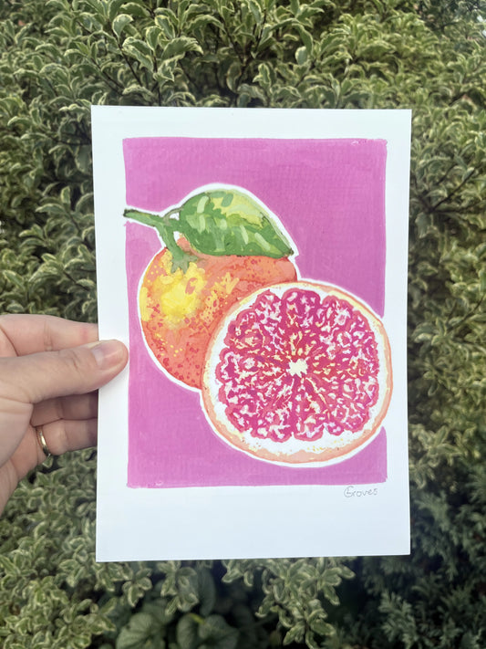 Grapefruit   'Kitchen Collection'