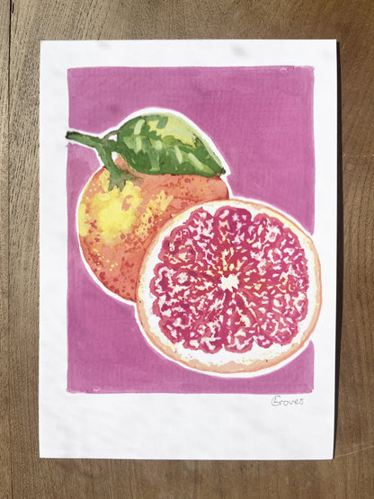 Grapefruit   'Kitchen Collection'