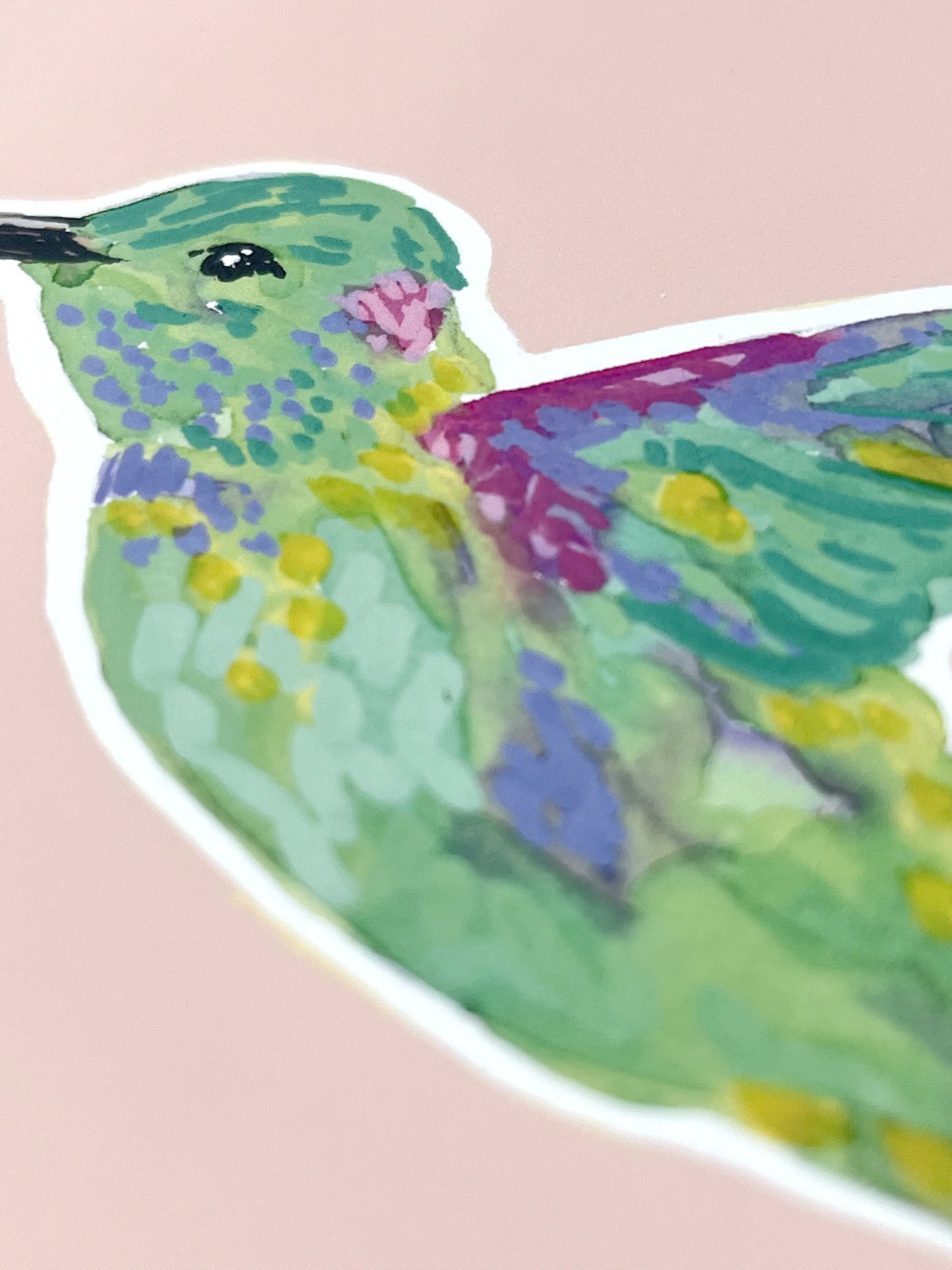 Humming Bird 01     'Bird Collection'