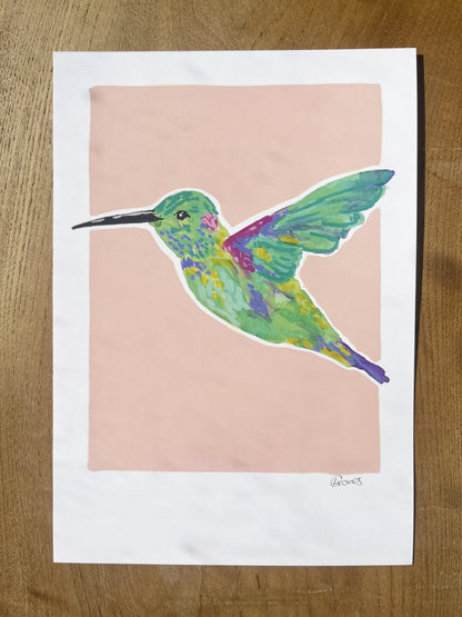 Humming Bird 01     'Bird Collection'