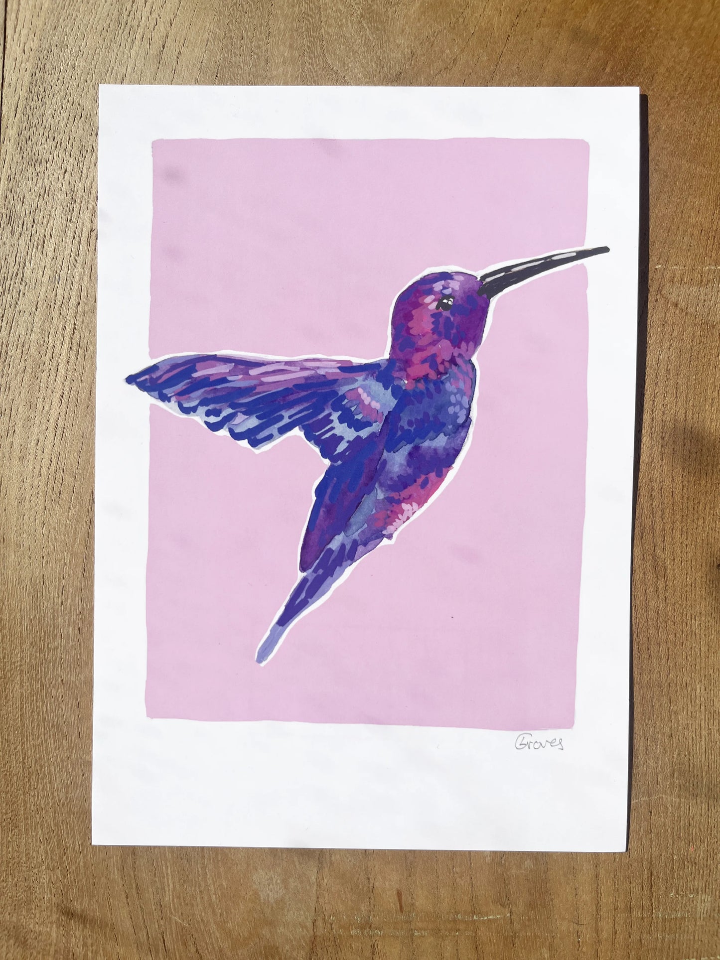 Humming Bird 02     'Bird Collection'