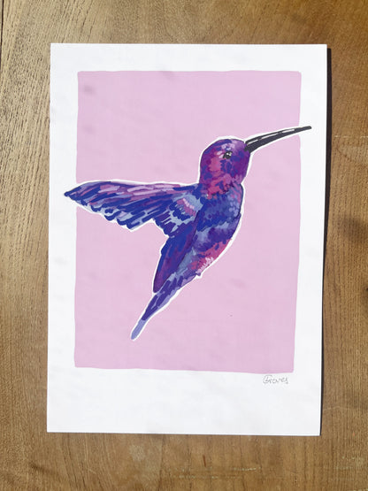 Humming Bird 02     'Bird Collection'