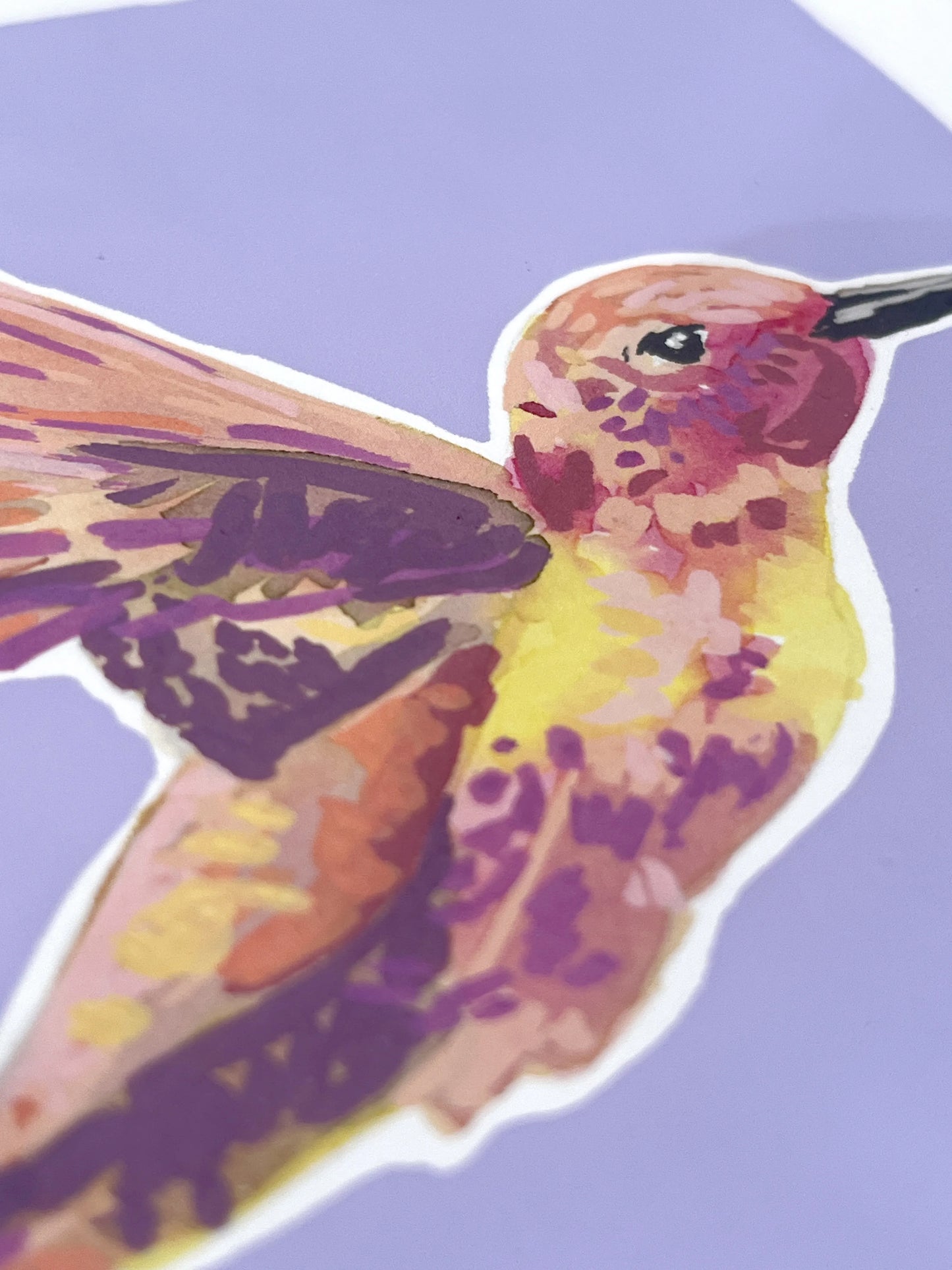 Humming Bird 03     'Bird Collection'