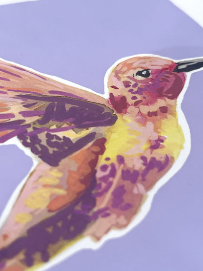 Humming Bird 03     'Bird Collection'