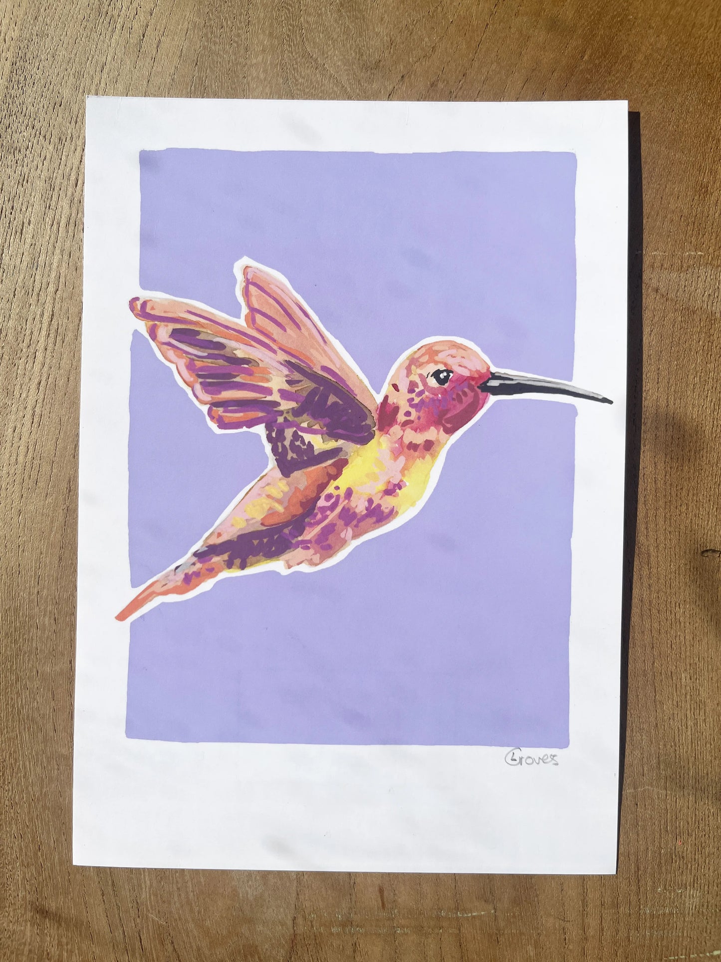 Humming Bird 03     'Bird Collection'