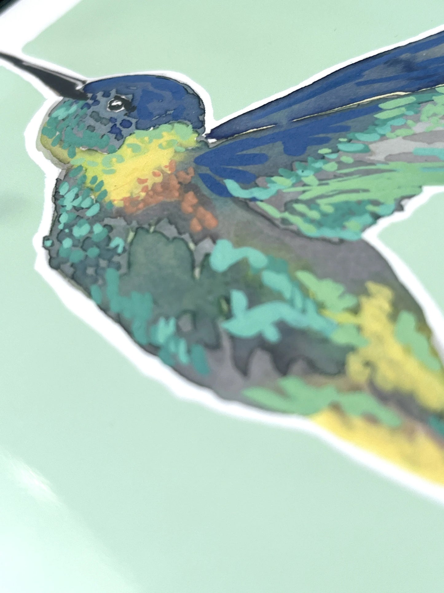 Humming Bird 04     'Bird Collection'