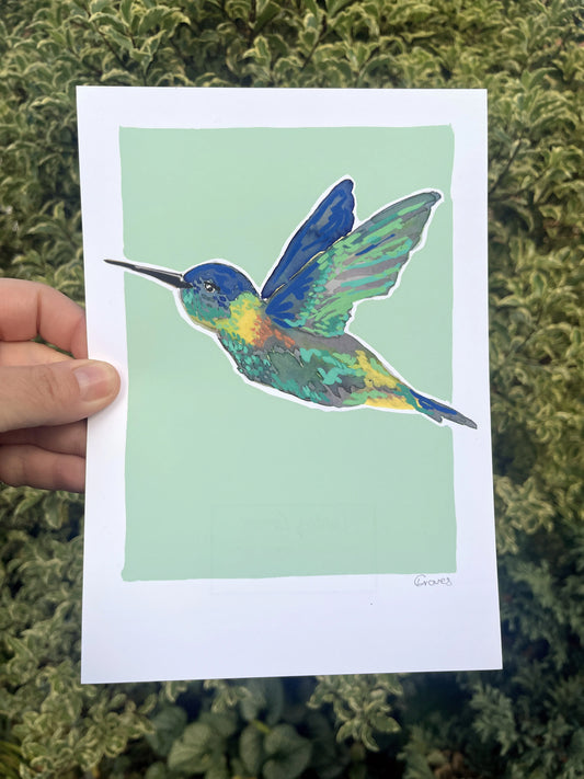 Humming Bird 04     'Bird Collection'