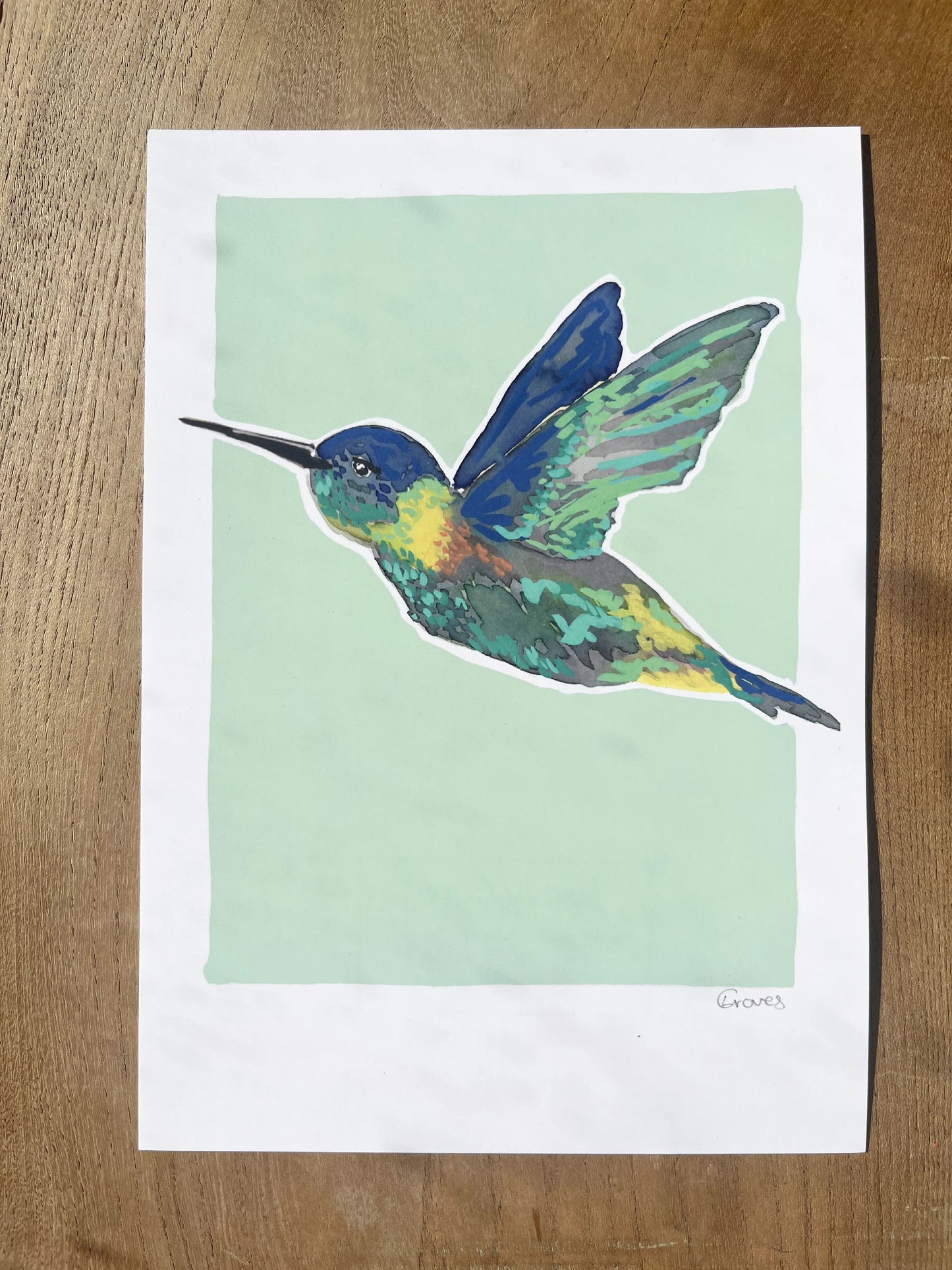 Humming Bird 04     'Bird Collection'
