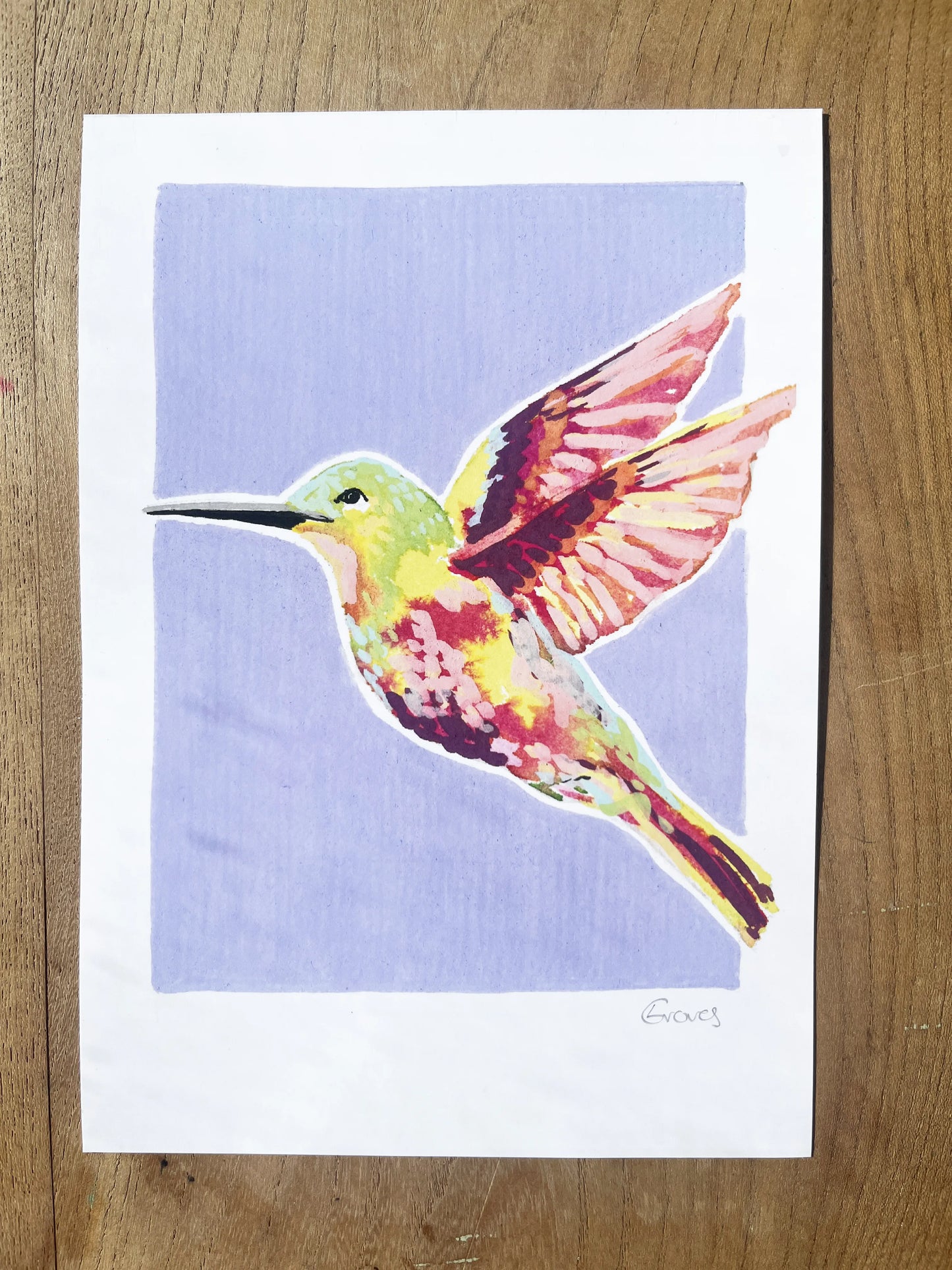 Humming Bird      'Woodland Collection'