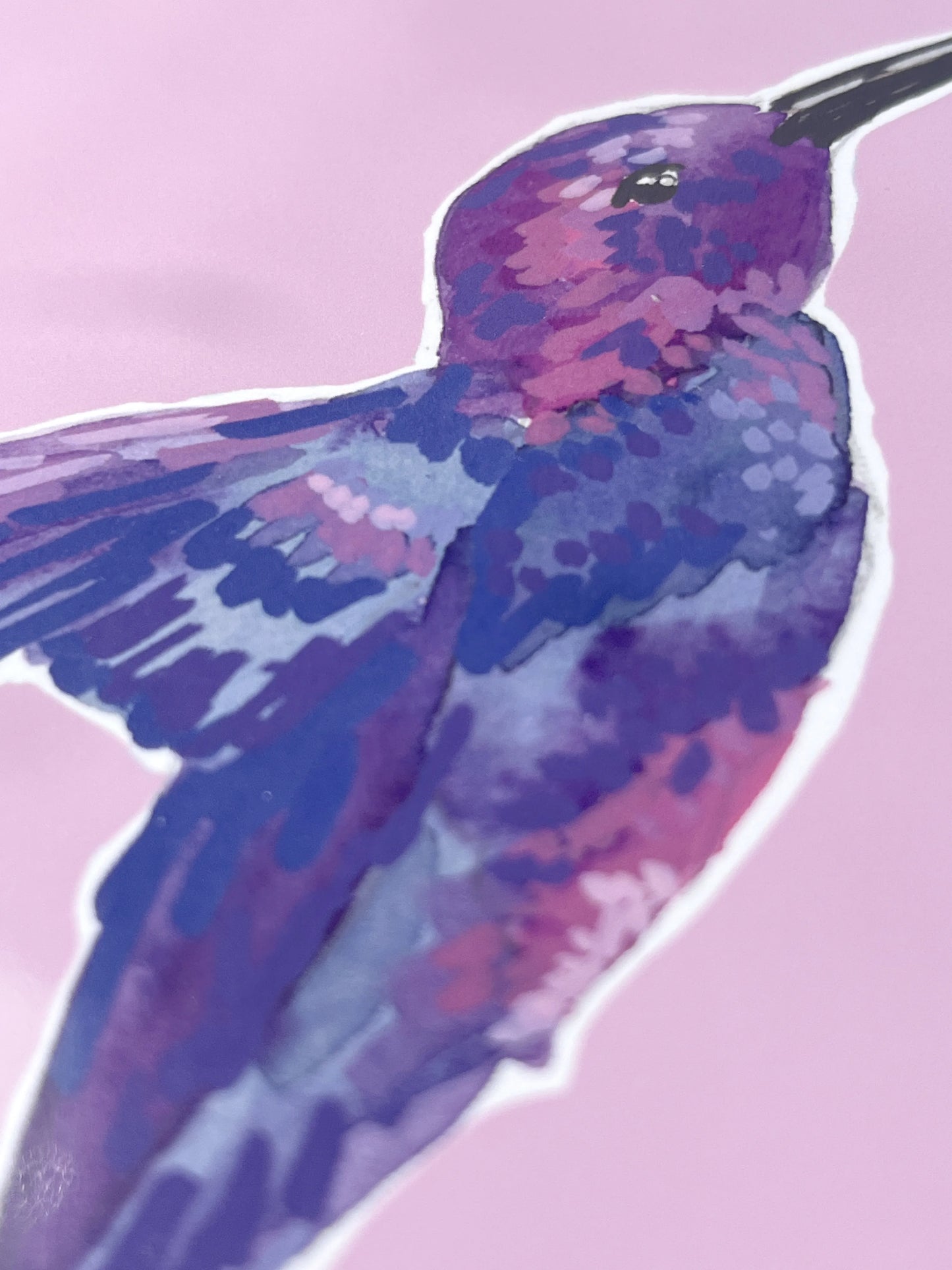 Humming Bird 02     'Bird Collection'
