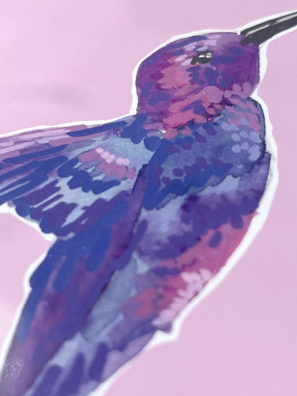 Humming Bird 02     'Bird Collection'