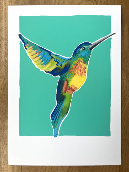 Humming Bird 010     'Bird Collection'