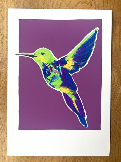 Humming Bird 09     'Bird Collection'