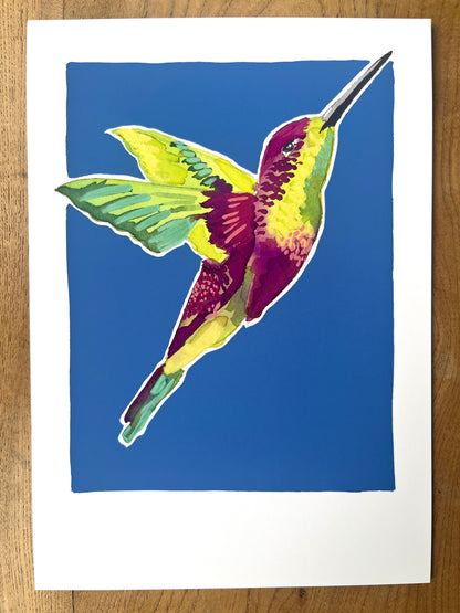 Humming Bird 05     'Bird Collection'