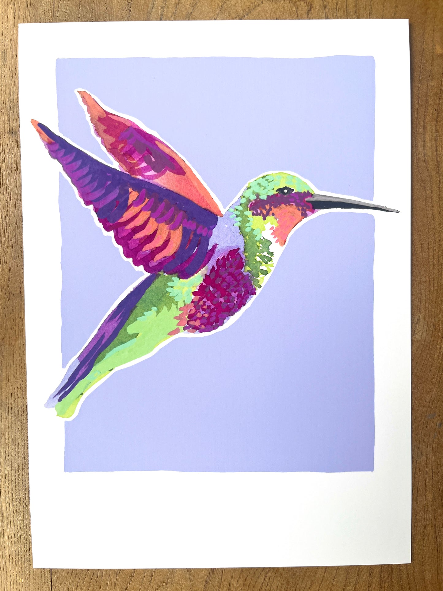 Humming Bird 08     'Bird Collection'