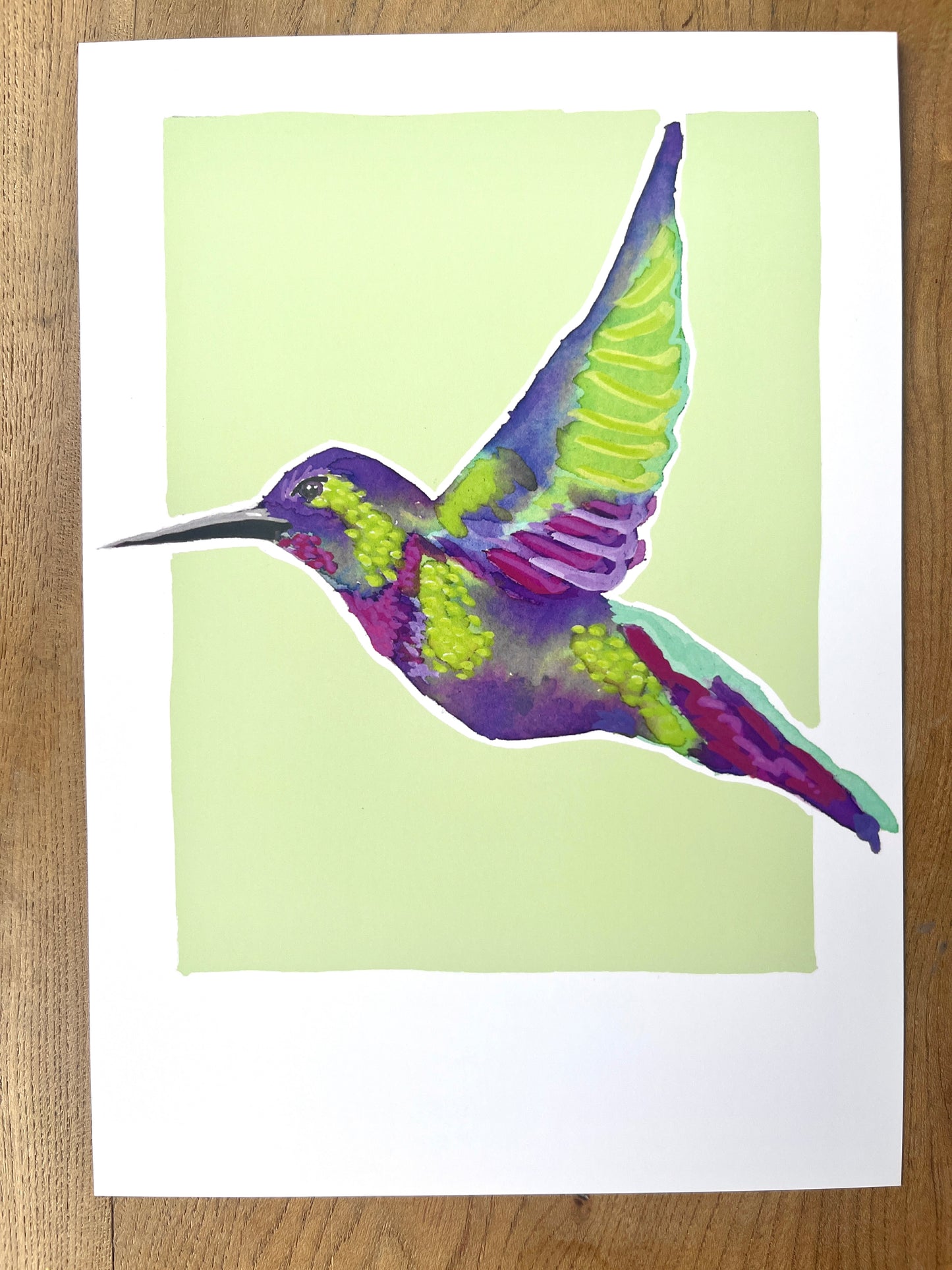 Humming Bird 06     'Bird Collection'