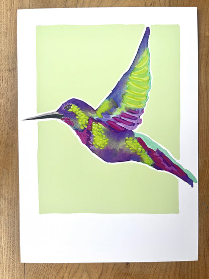 Humming Bird 06     'Bird Collection'