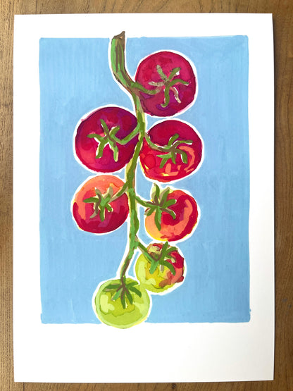 Tomato   'Kitchen Collection'