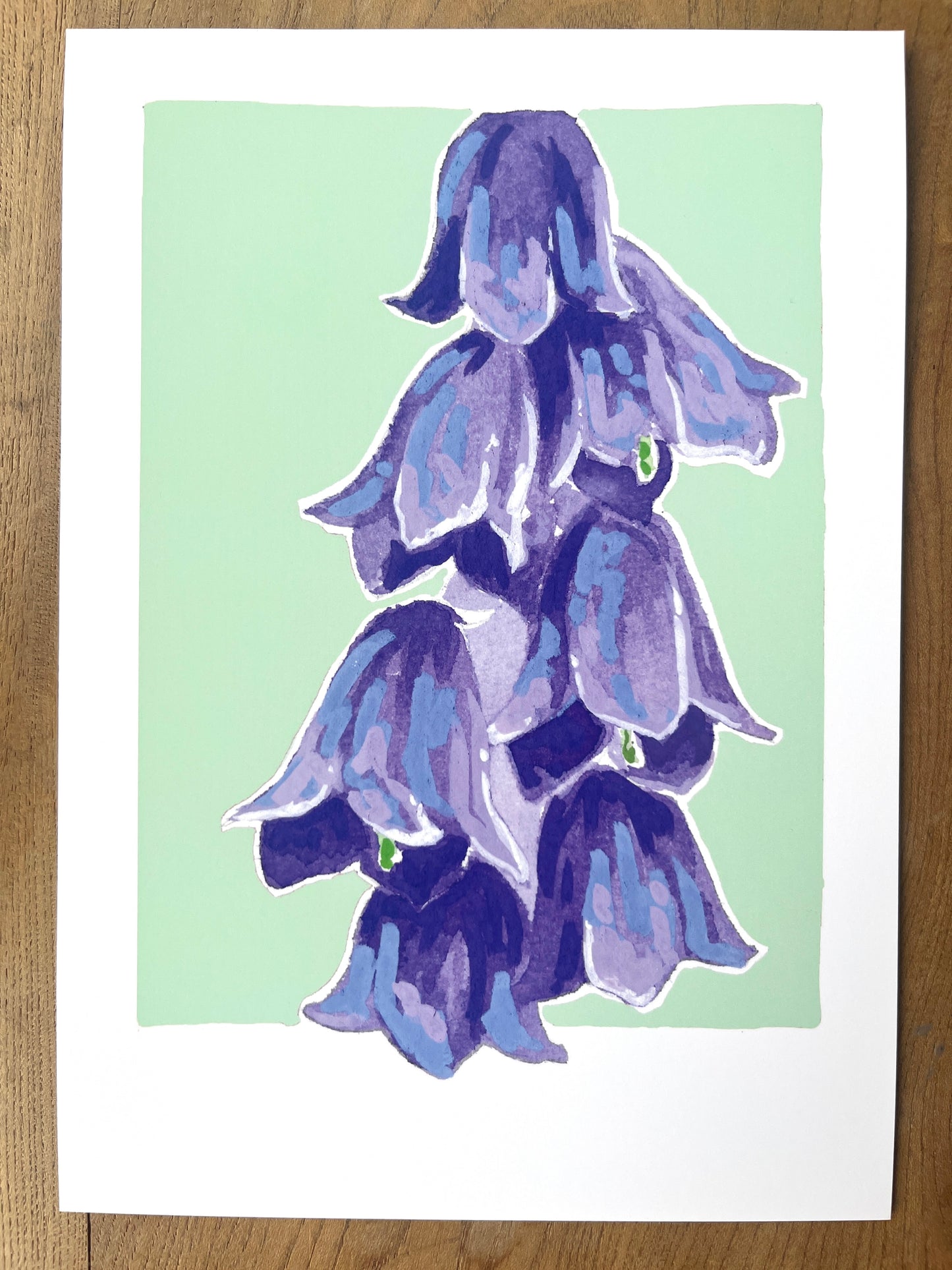 Bluebell      'Woodland Collection'