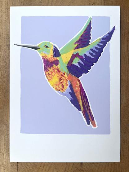 Humming Bird 07     'Bird Collection'