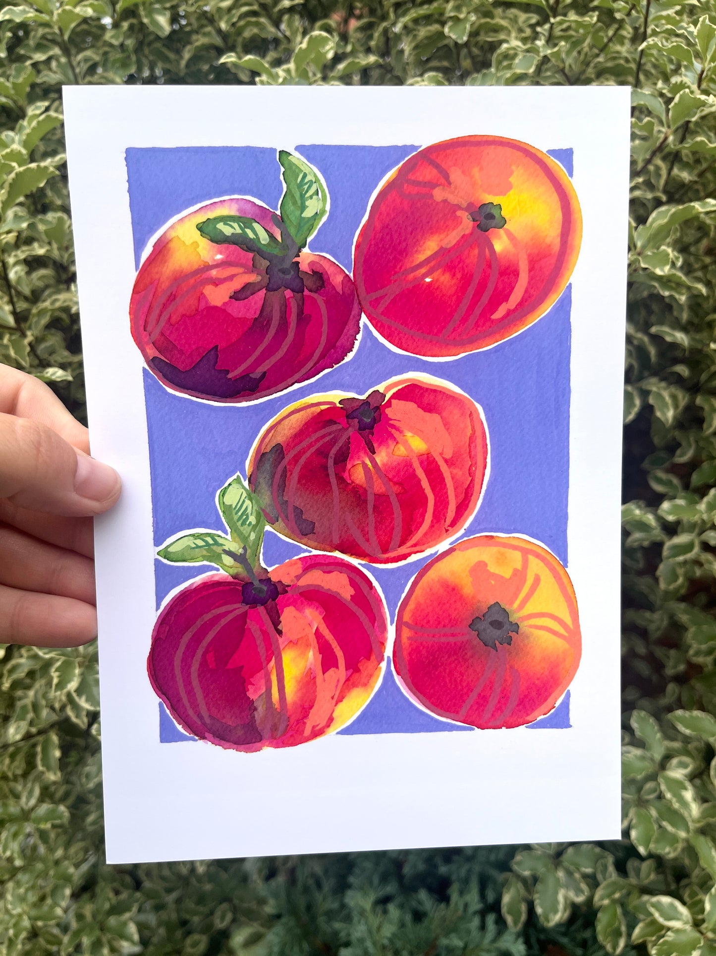Peaches   'Kitchen Collection'