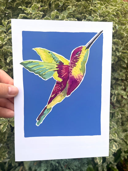 Humming Bird 05     'Bird Collection'