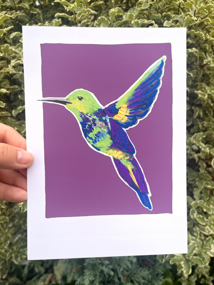 Humming Bird 09     'Bird Collection'
