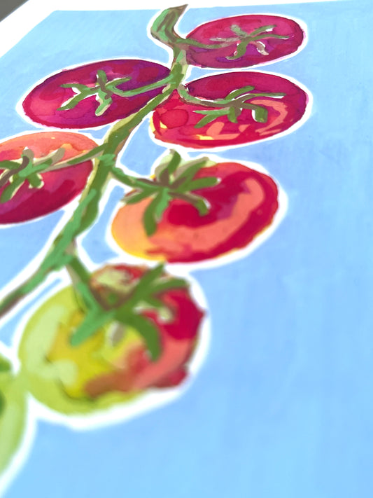 Tomato   'Kitchen Collection'