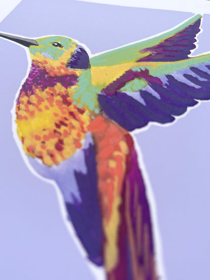 Humming Bird 07     'Bird Collection'