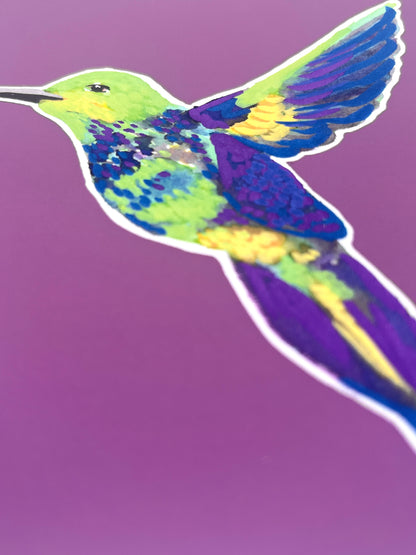 Humming Bird 09     'Bird Collection'