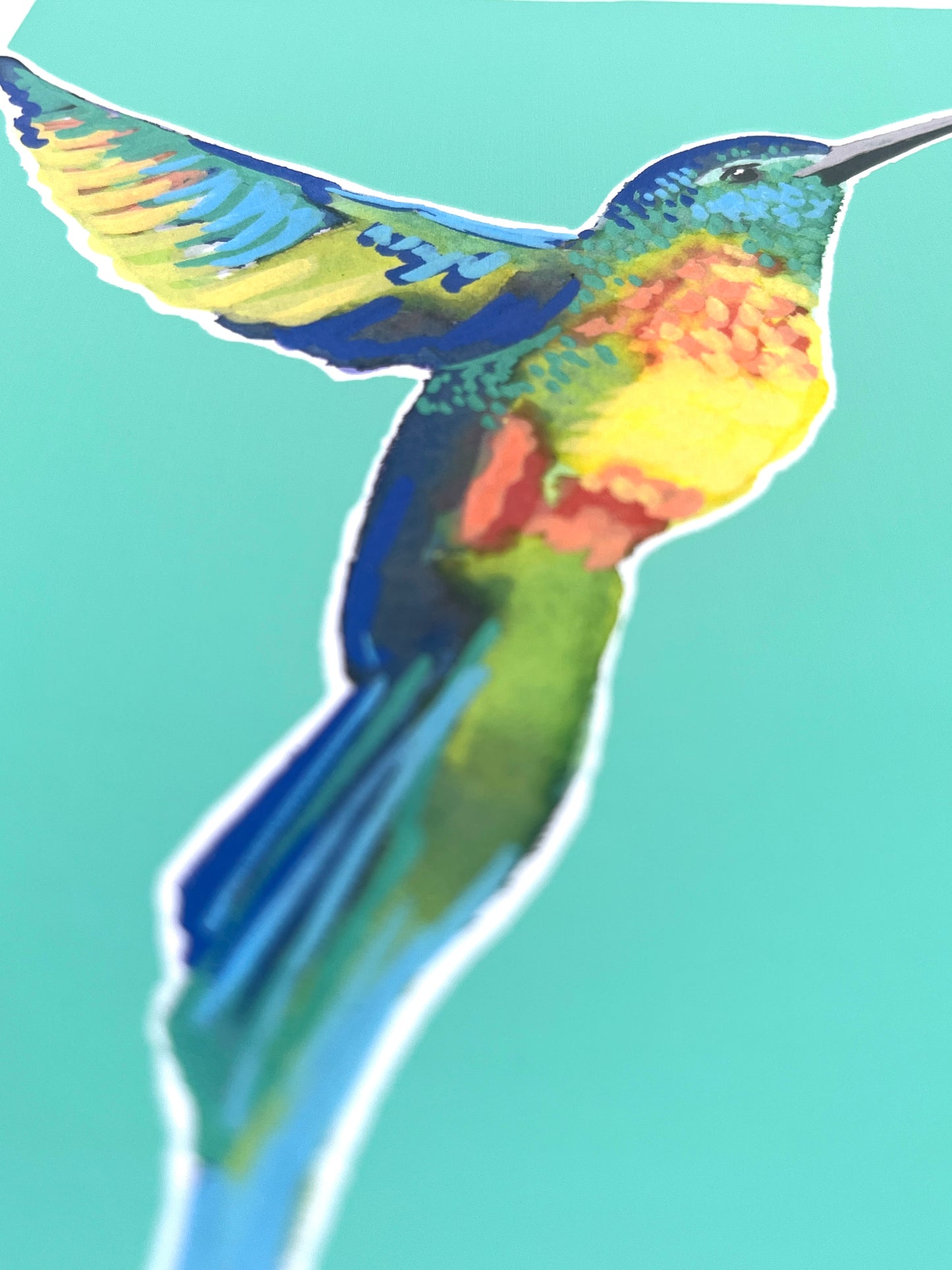 Humming Bird 010     'Bird Collection'