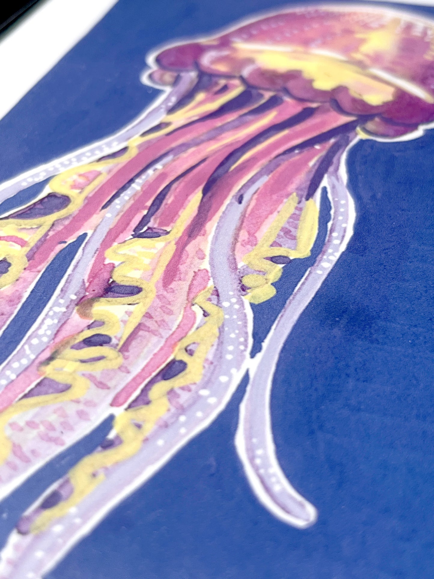 Jellyfish   'Coastal Collection'