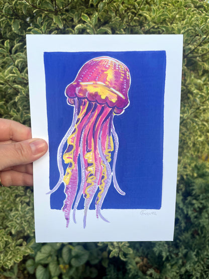 Jellyfish   'Coastal Collection'