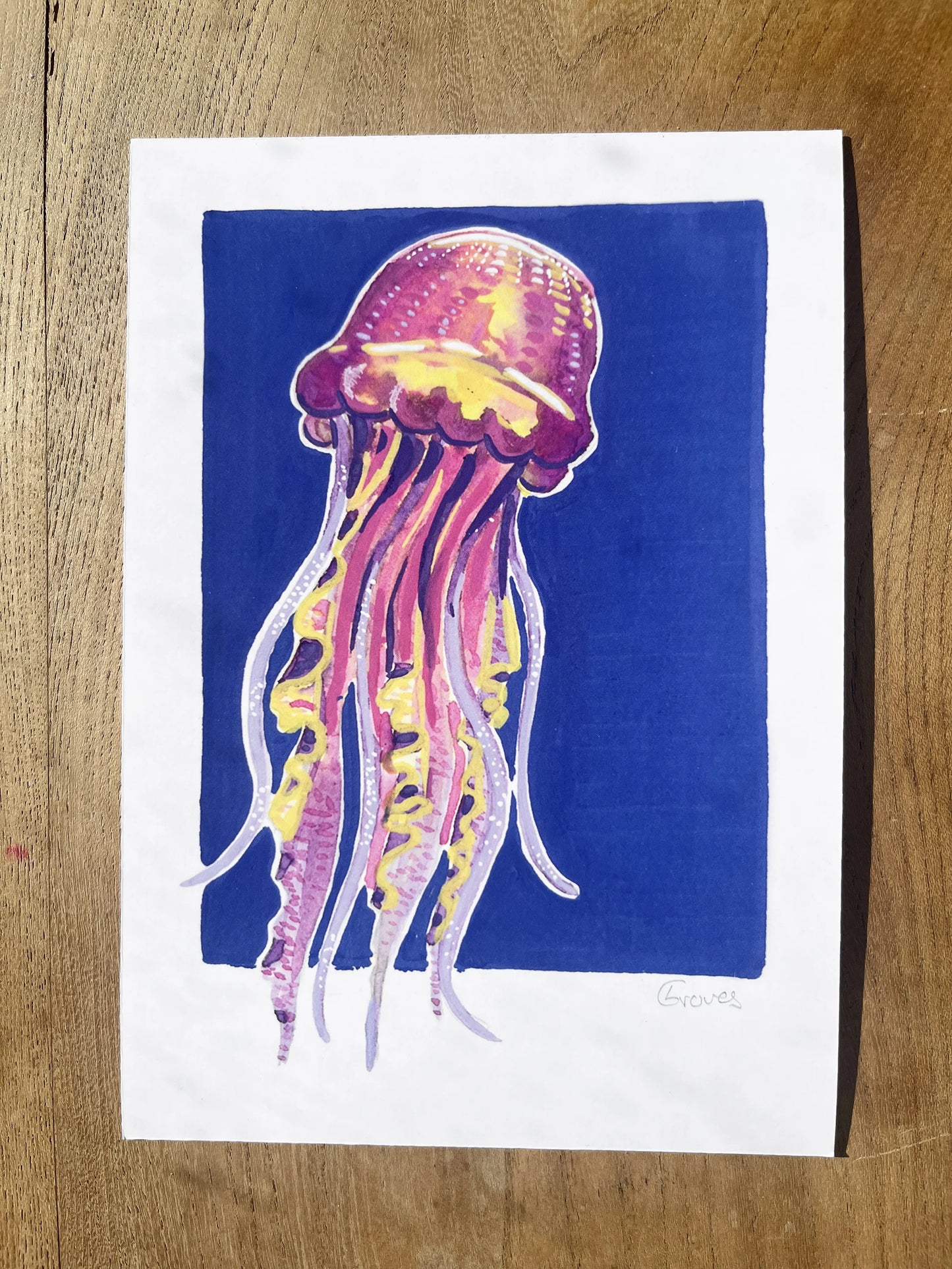 Jellyfish   'Coastal Collection'