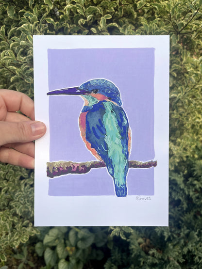 Kingfisher     'Woodland Collection'