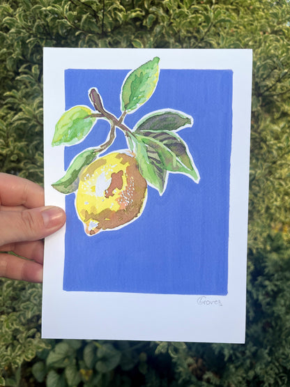Lemon   'Kitchen Collection'
