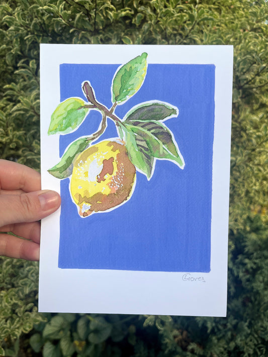 Lemon   'Kitchen Collection'