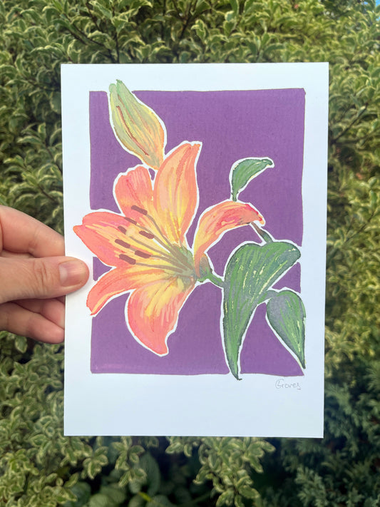 Lily      'Woodland Collection'